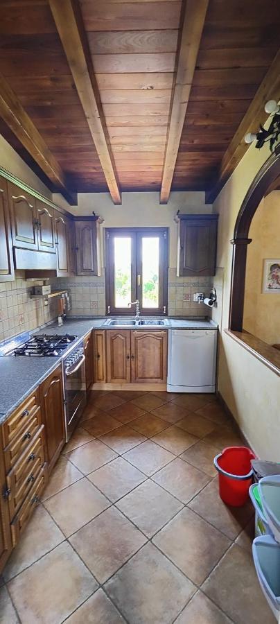 B&B Camera Delle Camelie Palestrina Bagian luar foto