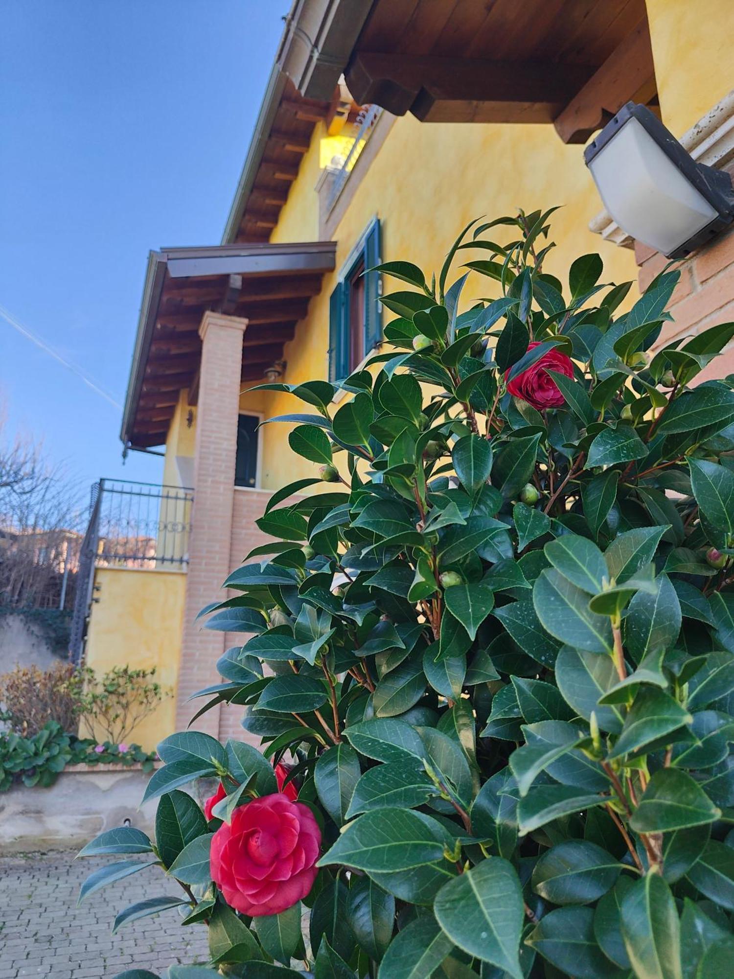 B&B Camera Delle Camelie Palestrina Bagian luar foto