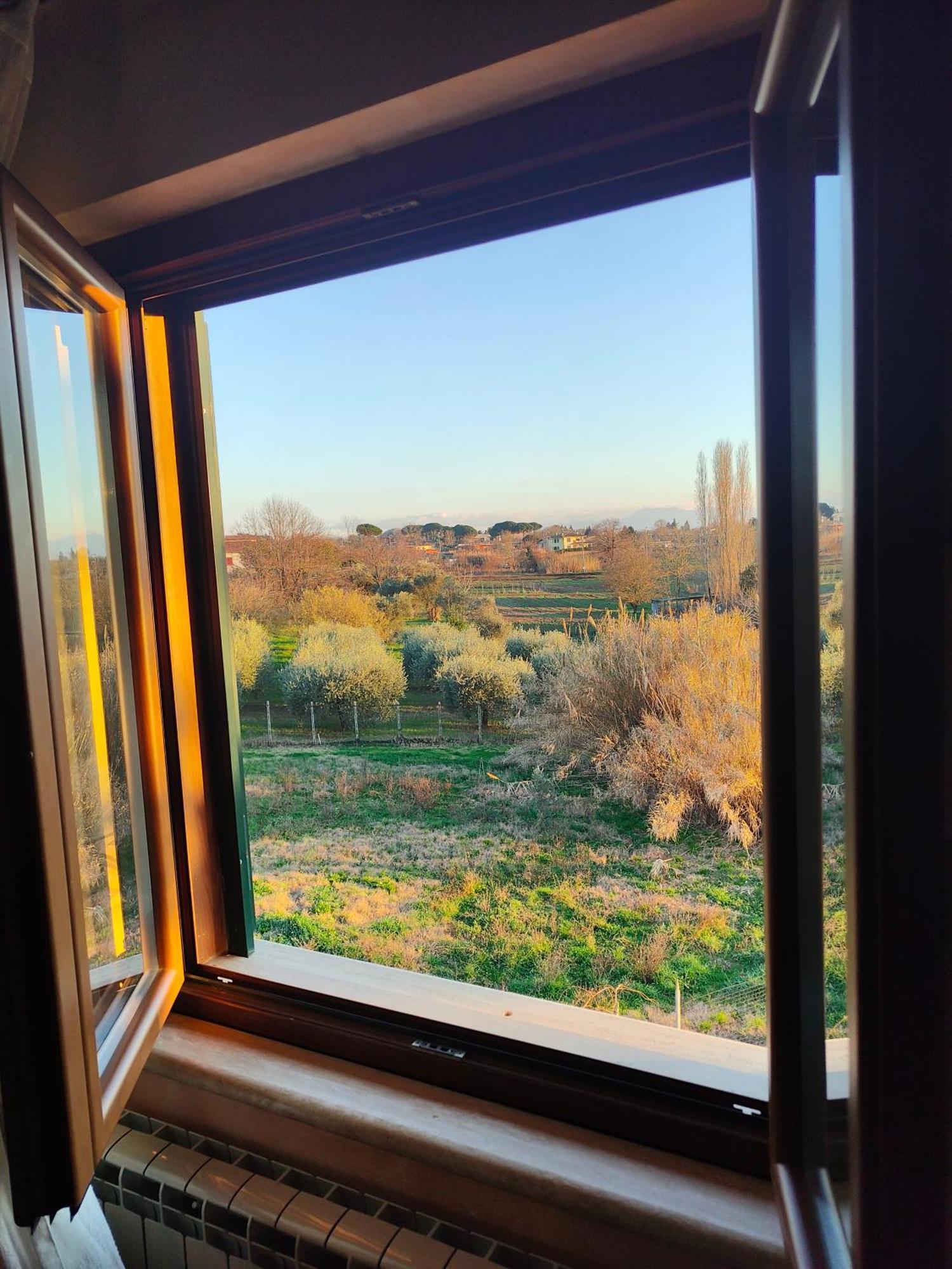 B&B Camera Delle Camelie Palestrina Bagian luar foto